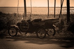 DSC_3815w