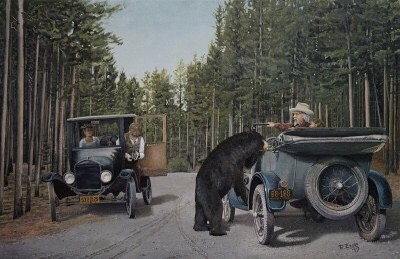 Picture of the Bear