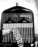 Radiator: Add on Cooler - Installation