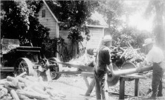 Milling Lumber