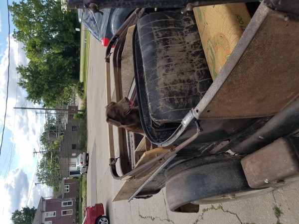 20170625_173454.jpg