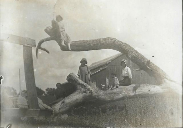 tree sitting.JPG