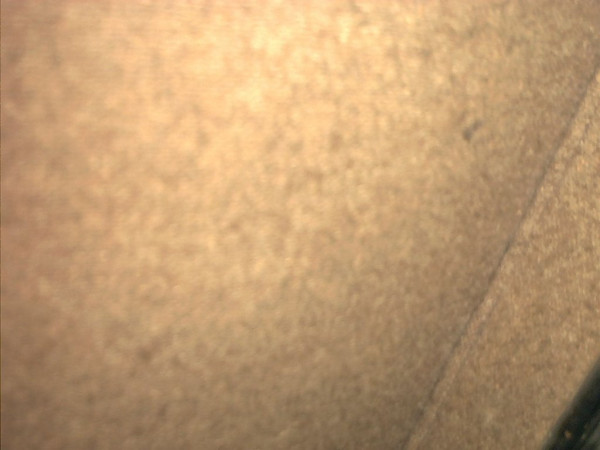 IM009918.JPG