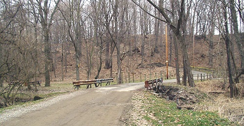 IMG_3923.JPG