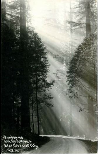 sunbeams.JPG