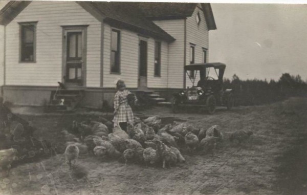 feeding the chickens.JPG