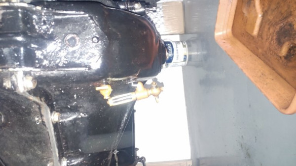 20220319_171523.jpg