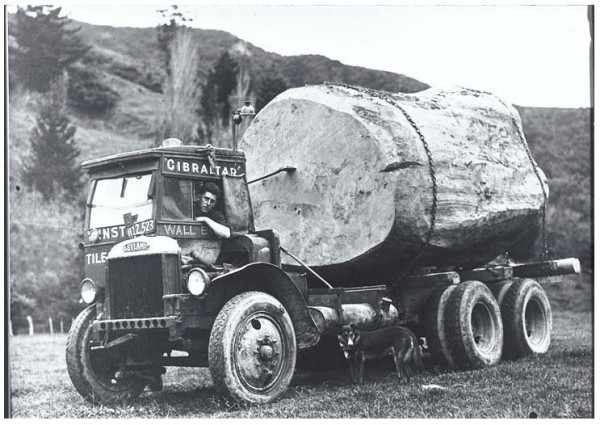 Logs.jpg