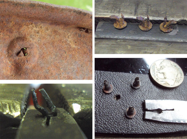 FirWll2.jpg (219.56 KiB) Viewed 845 times FirWll2.jpg