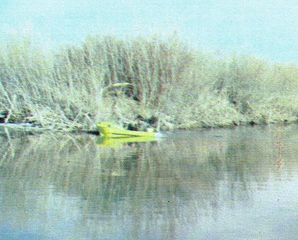 Vangaurd2.jpg