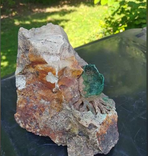 geological find.JPG