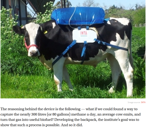 bovine tank.png