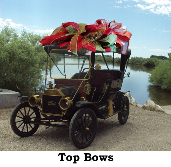 Bowz.jpg
