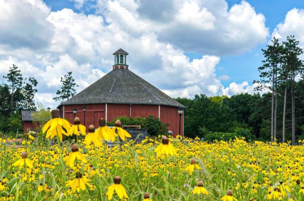 Barn.jpg