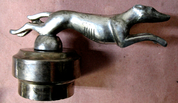 whippet 4.png