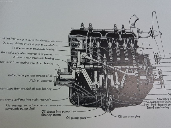 ANMP0005.jpg