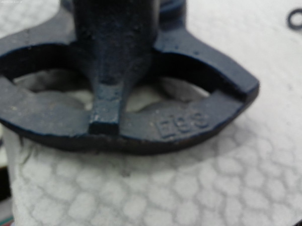 ANMP0031.jpg