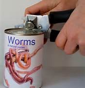 canOworms.jpg