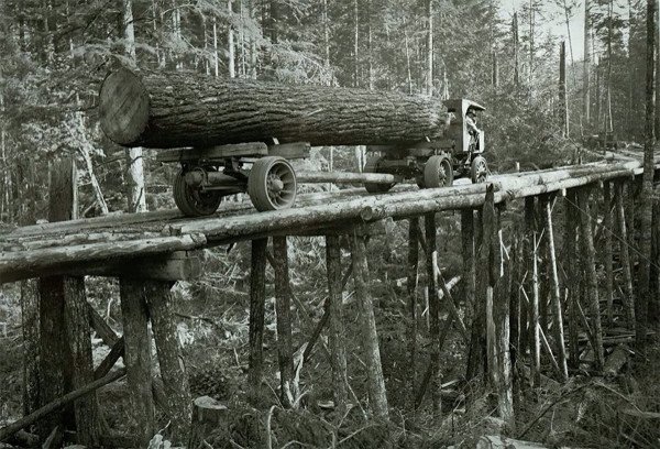 Log.jpg