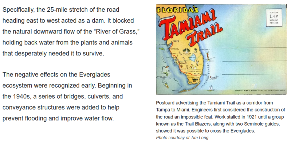 tamiami.png