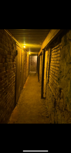 IMG_0367.png