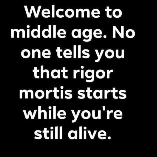 da5e30926cc0f5a3.jpeg