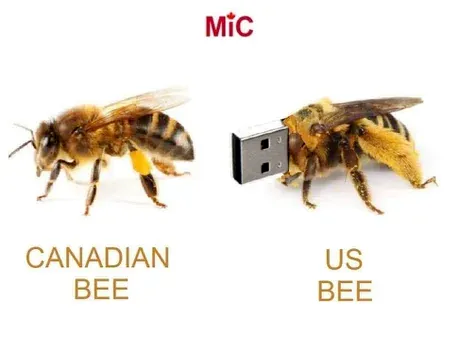 14dd5d4e7f0df88b.png