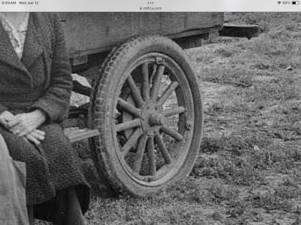IMG_1216.jpeg