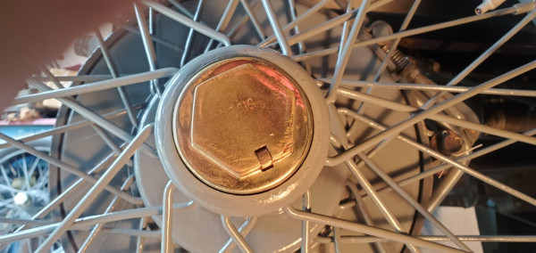 20240613_095123.jpg
