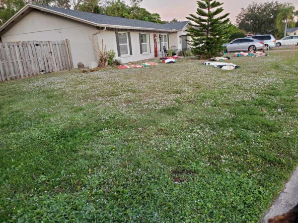 floridasnow.jpeg