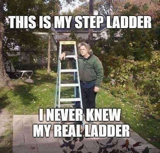 Ladder.jpg