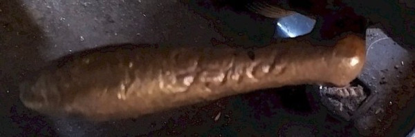 sediment 09.jpg