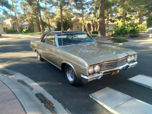 20251028_083957 (800x600).jpg