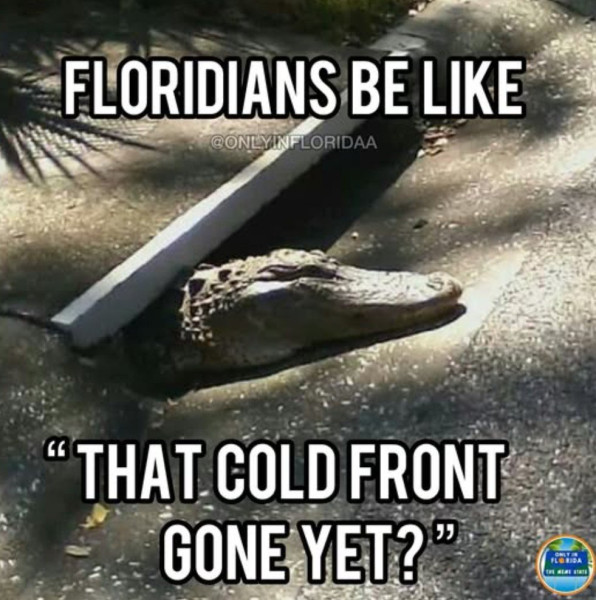 florida-gator-coldfront.jpg