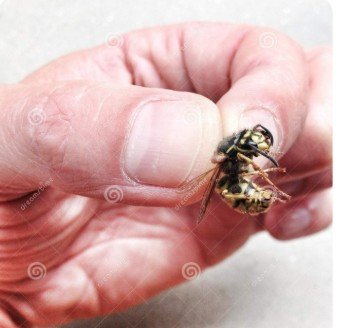 Screenshot 2026-02-04 085821.jpg