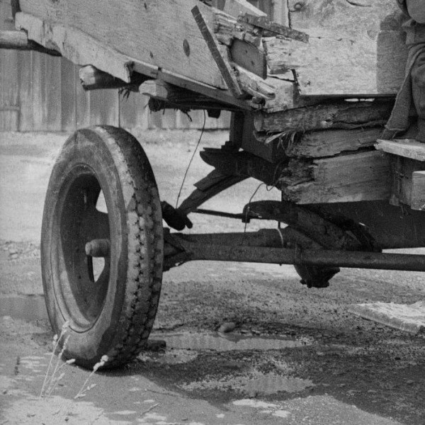 Old Ts Never Die 2.jpg