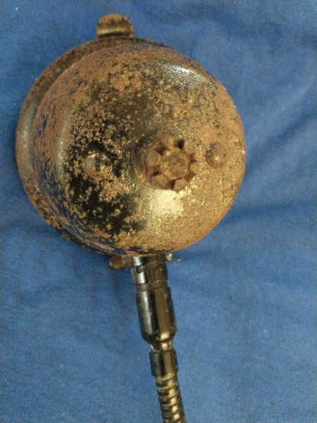 electric t light 2.jpg