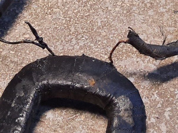 7_Daut_Field Coils.jpeg