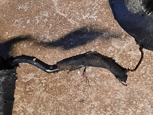 3_Daut_Field Coils.jpeg