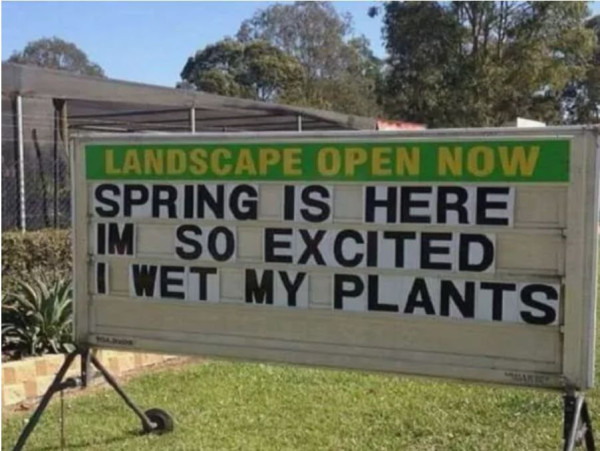 spring.jpg