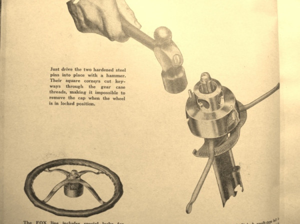 IMG_4648 (750x559).jpg