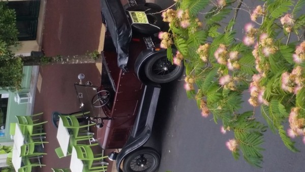 2019-07-31_Poupette.jpg