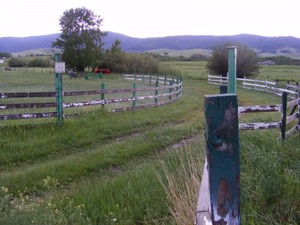 2013 6 19 ranch 014.JPG