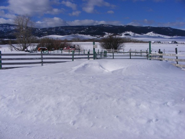 2014 3 4 snow ranch 010.JPG