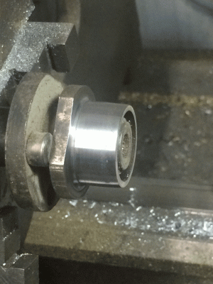 camnut sm.gif