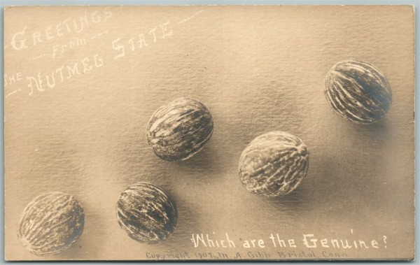 nutmeg state.jpg