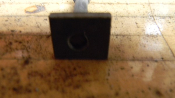 PLATE NUT 009.JPG