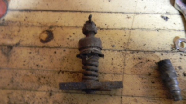 PLATE NUT 007.JPG