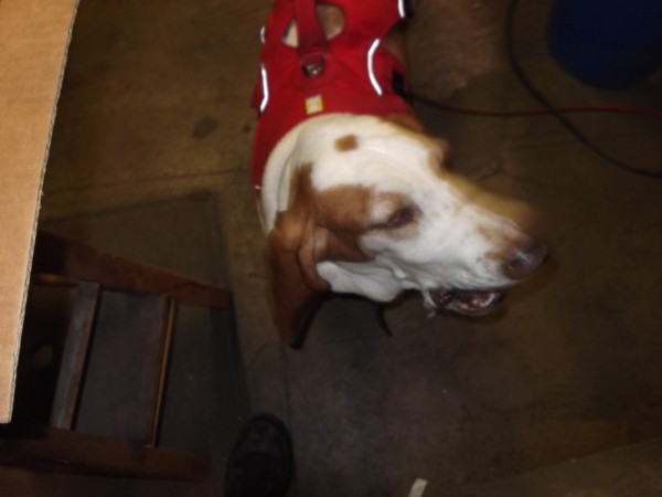 DSCF6489.JPG