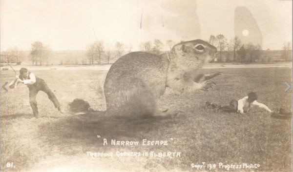 gopher.JPG